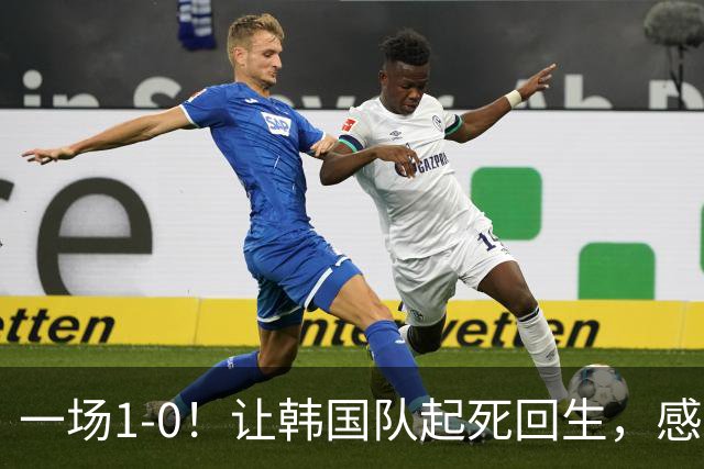 一场1-0！让韩国队起死回生，感谢西班牙救场，一度被坑4次，有望以第8晋级