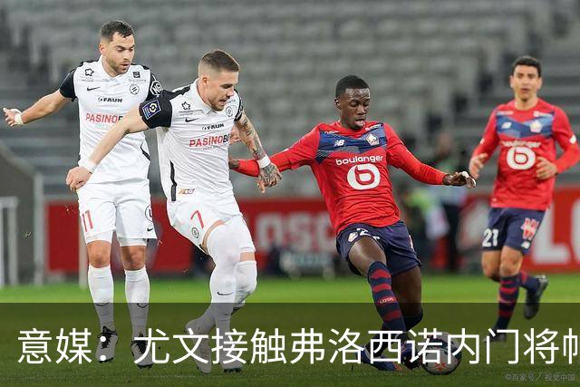 意媒：尤文接触弗洛西诺内门将帕尔米萨尼，身价约600万欧